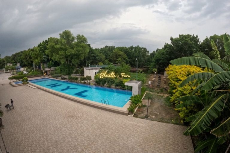 Amenities 11