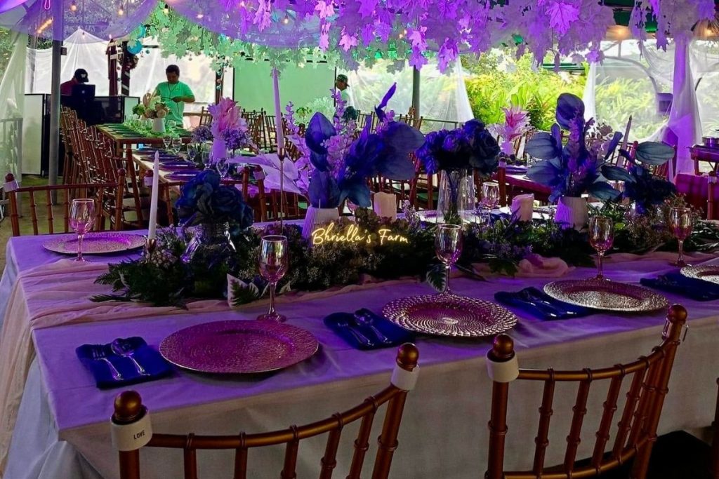 Bhriella's Farm Gallery (11)